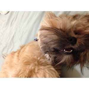 Meet your Posher, Beth